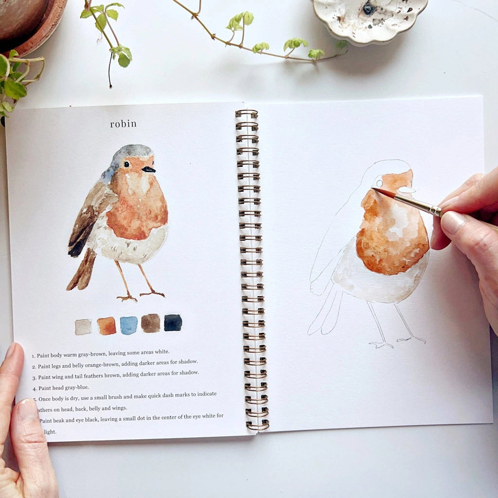  The Birds Watercolor Workbook includes 12 bird illustrations with an example of the finished painting, step-by-step instructions, and a lightly illustrated sketch for you to paint. Available from Seattle florist and gift basket company, Campanula Design Studio in the Magnolia neighborhood.