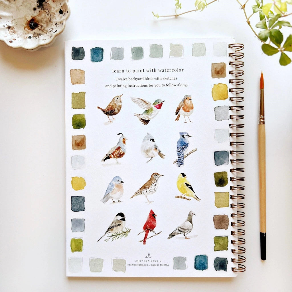  The Birds Watercolor Workbook includes 12 bird illustrations with an example of the finished painting, step-by-step instructions, and a lightly illustrated sketch for you to paint. Available from Seattle florist and gift basket company, Campanula Design Studio in the Magnolia neighborhood.