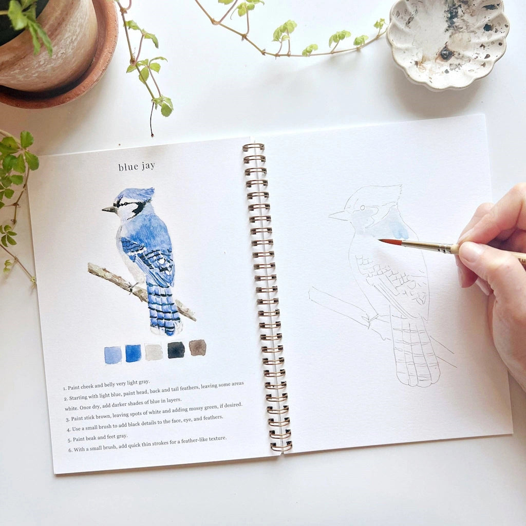  The Birds Watercolor Workbook includes 12 bird illustrations with an example of the finished painting, step-by-step instructions, and a lightly illustrated sketch for you to paint. Available from Seattle florist and gift basket company, Campanula Design Studio in the Magnolia neighborhood.