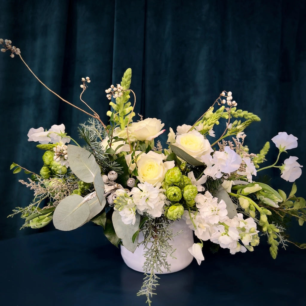 A beautiful design of evergreens and gorgeous white and cream blooms designed in a ceramic vase.

Perfect for your holiday table or a lovely Christmas gift! From Campanula Design Studio, Premiere Seattle florist and gift basket shop!