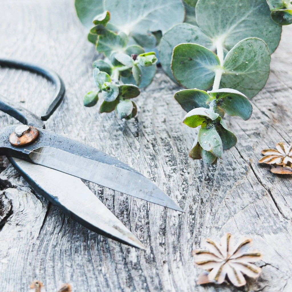 Buy these pruning sheers for yourself, or as a gift for your herb gardening friend.