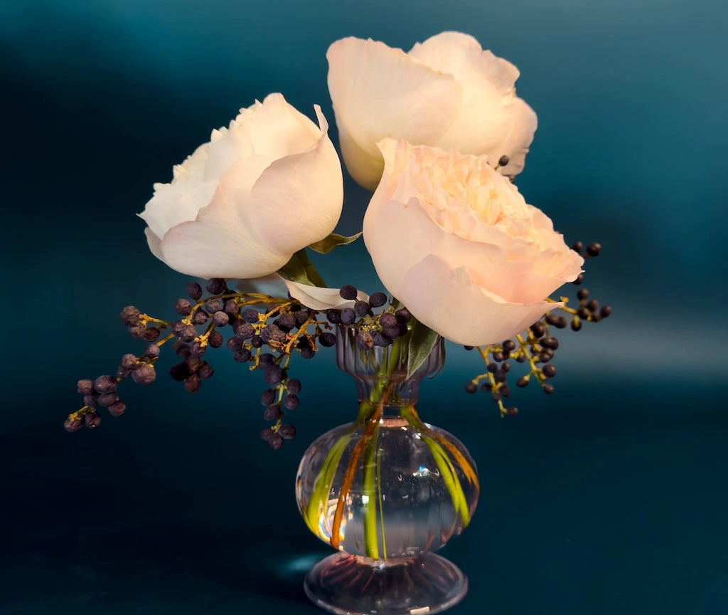 Treat yourself or someone you love to a garden rose subscription this winter! Choose from monthly deliveries for a 3 or 6 month duration.  This version features a sweet bud vase with three premium garden roses. 