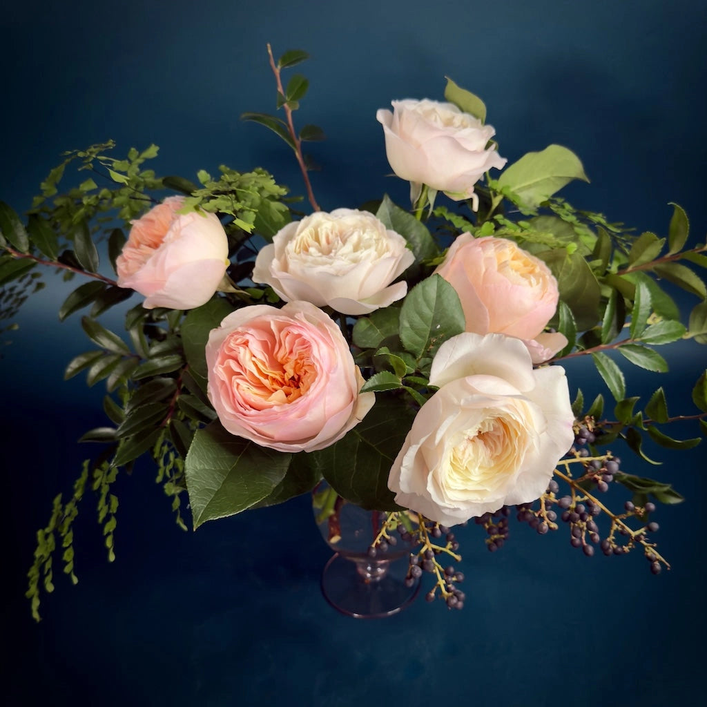 Treat yourself or someone you love to a garden rose subscription this winter! Choose from monthly deliveries for a 3 or 6 month duration.  This version features a half dozen premium garden roses. 