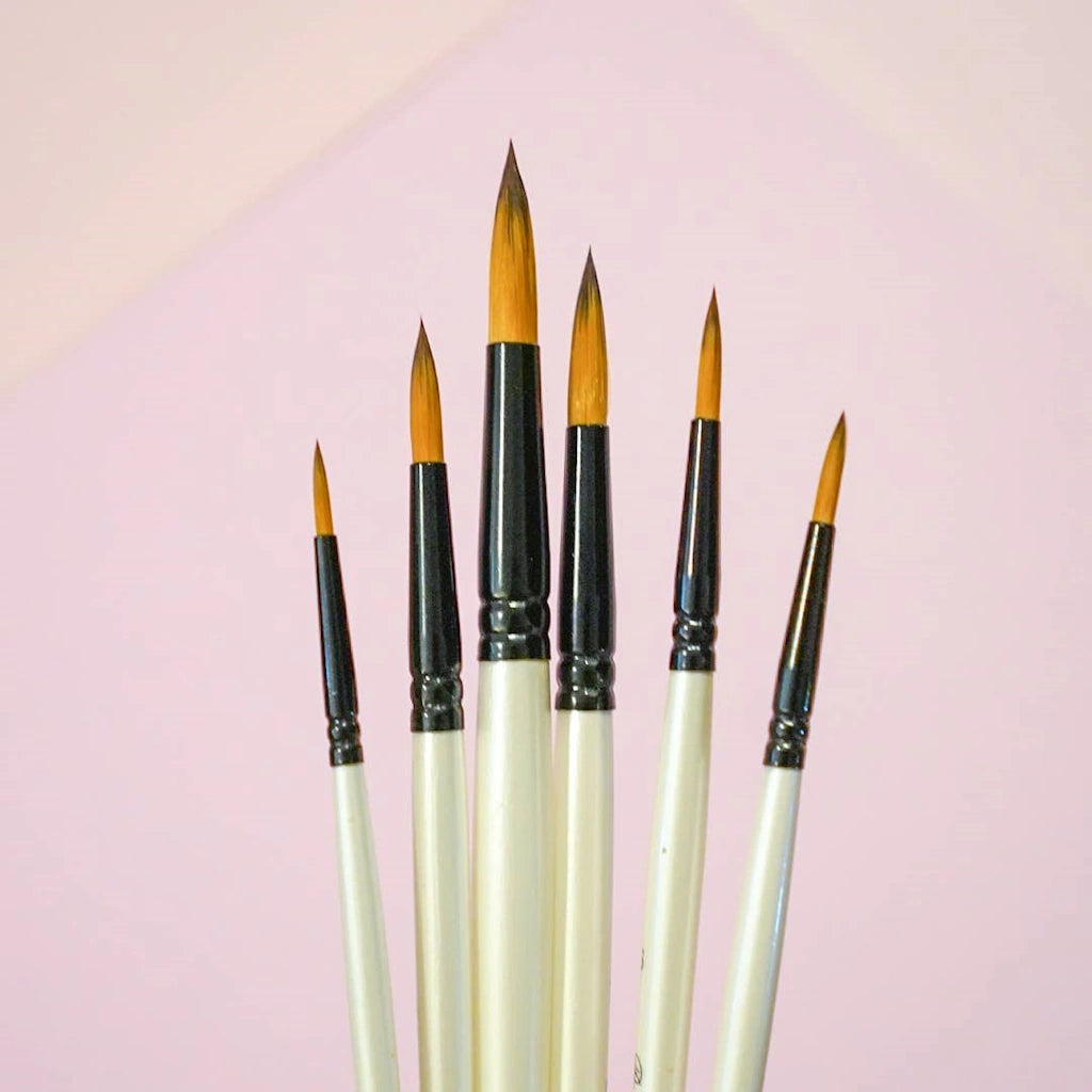 This six piece paintbrush set is made up of the perfect brushes to get started on your creative journey. Pair them with one of our watercolor books, or other craft gifts. Add them to one of our gift baskets, flower arrangements for delivery in Seattle, or a houseplant for the perfect gift.