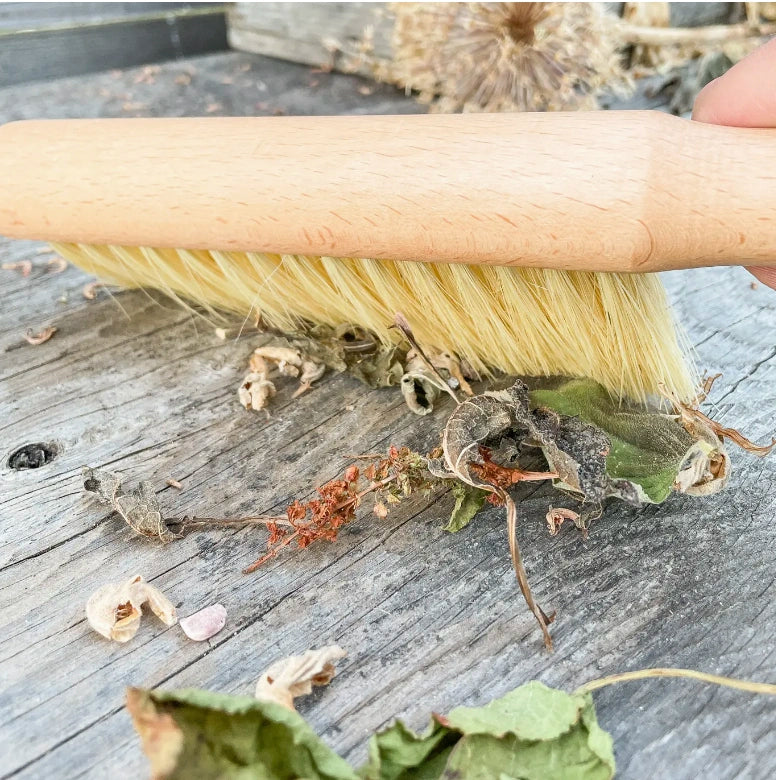 Seattle See Company Multi-purpose gardening brush available from Campanula Design Studio. Buy it on its own or as part of a gardener's gift basket.