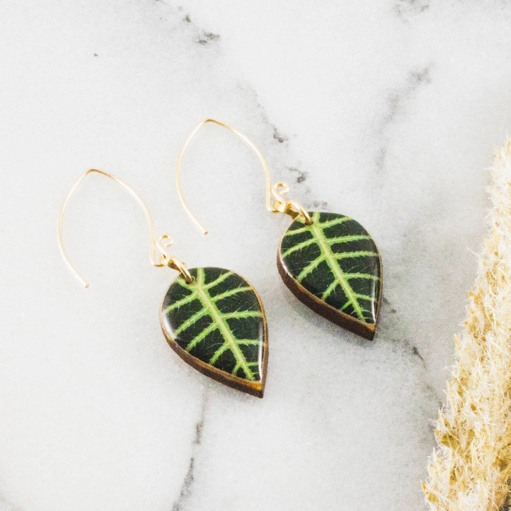 Alocasia Tropical Leaf Earrings from Campanula Design Studio, Seattle's Gift Basket and Florist Shop in Magnolia.