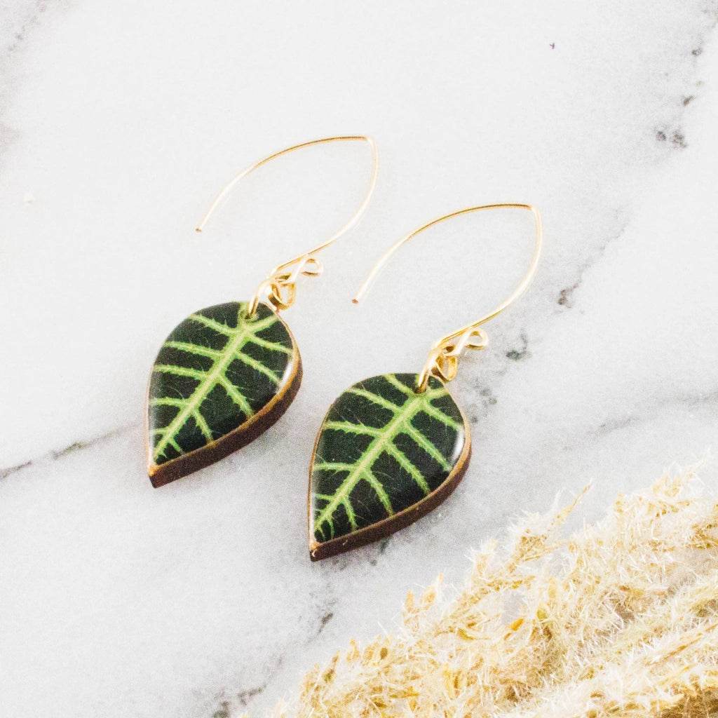 Alocasia Tropical Leaf Earrings from Campanula Design Studio, Seattle's Gift Basket and Florist Shop in Magnolia.